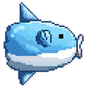 Young Man Mola