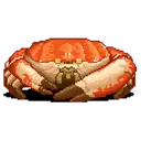 Tasmanian Giant Crab