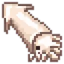 Squid
