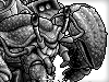HUGE HERMIT (Normal Form)