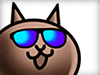 Suntan Cat (Normal Form)