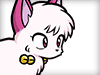 Shampoo (Cat) (Normal Form)