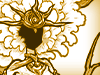 Master of Life Catnova (Evolved Form)